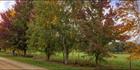 Shades of Autumn - VIC (PBH4 00 13167)